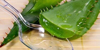 suco de aloe vera para tratamento de varizes nas pernas
